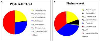 Metagenomic insights into the effects of cosmetics containing complex polysaccharides on the composition of skin microbiota in females